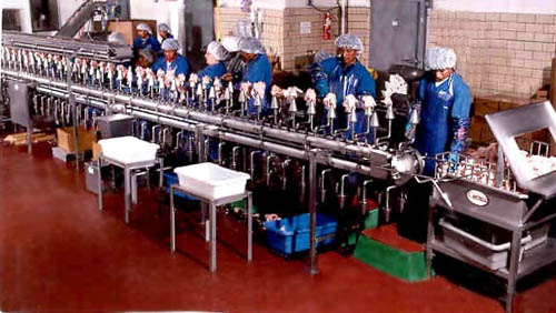McKenry Produce Processing Plant
